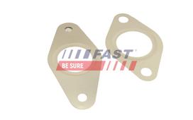 FAST Tarpiklių rinkinys, AGR sistema FT50621