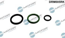 Dr.Motor Automotive Remonto komplektas, siurblio-purkštukų blokas DRM005RK