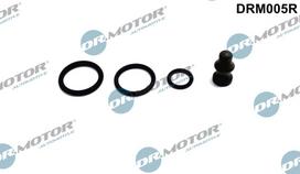 Dr.Motor Automotive Remonto komplektas, siurblio-purkštukų blokas DRM005R