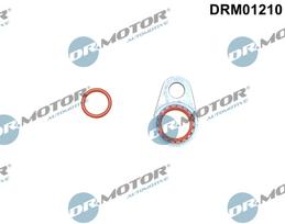 Dr.Motor Automotive Remonto komplektas, oro kondicionierius DRM01210