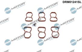 Dr.Motor Automotive Remonto komplektas, įsiurbimo kolektoriaus modulis DRM01241SL
