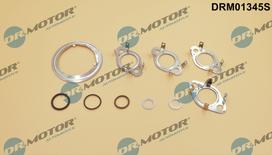 Dr.Motor Automotive Tarpiklių rinkinys, AGR sistema DRM01345S