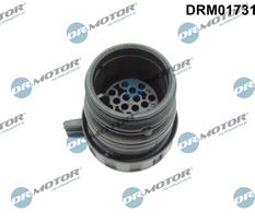 Dr.Motor Automotive Prij. korpusas, automatinė pavarų dėžė (valdymo blokas) DRM01731