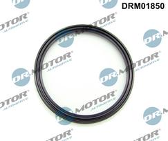 Dr.Motor Automotive Tarpiklis, turbinos oro žarna DRM01850