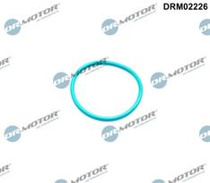 Dr.Motor Automotive Tarpiklis, EGR vožtuvas DRM02226