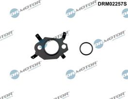 Dr.Motor Automotive Tarpiklių rinkinys, AGR sistema DRM02257S