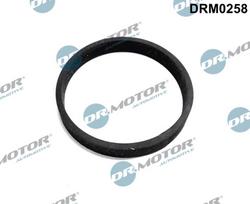 Dr.Motor Automotive Tarpiklis, turbinos įvadas (piltuvas) DRM0258
