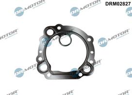 Dr.Motor Automotive Sandarinimo žiedas, AGR aušintuvas DRM02827