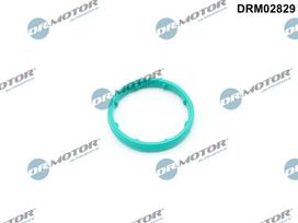 Dr.Motor Automotive Tarpiklis, alyvos aušintuvas DRM02829