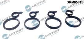 Dr.Motor Automotive Sandariklis, kumštelinio veleno dangtelis Seal, camshaft seal cover DRM0581S