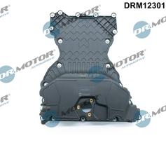 Dr.Motor Automotive Alyvos karteris DRM12301