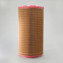 Donaldson-AU Oro filtras Air cleaner P618931