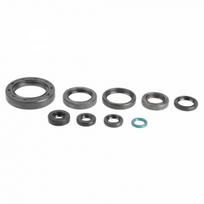 ATHENA Visas tarpiklių komplektas, variklis Full Gasket Kit, engine ATHENA P400210400250 P400210400250