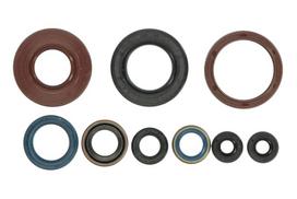 ATHENA Visas tarpiklių komplektas, variklis Full Gasket Kit, engine ATHENA P400220400253 P400220400253