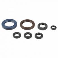 ATHENA Visas tarpiklių komplektas, variklis Full Gasket Kit, engine ATHENA P400270400002 P400270400002