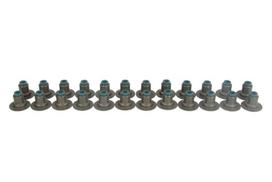 DNJ Sandariklių komplektas, vožtuvo kojelė Seal Set, valve stem DNJ VSS3139 VSS3139