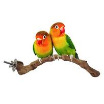 1 rinkinys Naminių papūgų paukščių stovėjimo lazdelė Parakeet laipiojimo stovėjimo šakos Žaislas kramtomas narvo priedas Koreloms, Meilės paukščiams