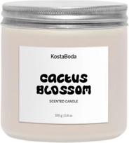 Kosta Boda Kvapi žvakė Mind Cactus Blossom 10,2 cm