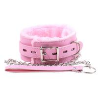 Latetobed Collar and Leash Antkaklio ir pavadėlio rinkinys