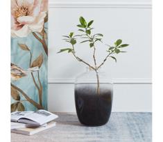 Eglo 421392 - Stiklinė vaza CULASI 35,5x24,5 cm juoda/dūminė