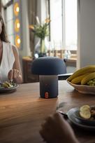 SOUND BY JBL Sensa Play kolonėlė/šviestuvas su JBL garso sistema, Anthracite