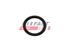 FAST Tarpiklis, EGR vožtuvas FT50601