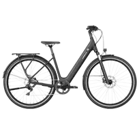 Electric bicycle TENWAYS CGO800 Plus (2025) Midnight Black