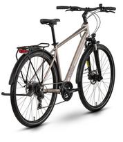 Dviratis Raymon Zayn Comp 2026 taupe grey-black-L