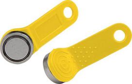 Olympia  Olympia key for Dallas lock yellow