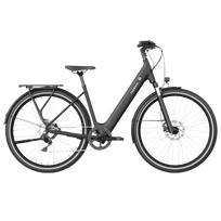 TENWAYS Electric bicycle CGO800 Plus, Midnight Black