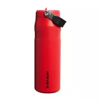 Stanley Thermos bottle with straw—the IceFlow Bottle Flip Straw 2.0, 0.71L, dark red
