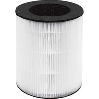 HoMedics AP-T20FLR TotalClean Replacement Hepa-type Filter