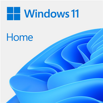 Operacinė sistema Microsoft Windows 11 Home | KW9-00664 | All Languages | ESD