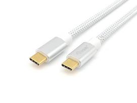 Equip USB-C 3.2 to C Gen2 4K PD100W Stainless Steel 0.50m White