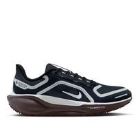 Nike Pegasus 41 GTX Women's