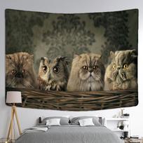 Katės ir pelėdos gobelenas sienų dekoracija bohemiškas mielas augintinis paprastas sumišęs žvilgsnis hipiškas stalo kilimėlis miegamojo namų dekoras 95x70CM