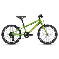 GIANT ARX 24 24" // 8G (žalia)