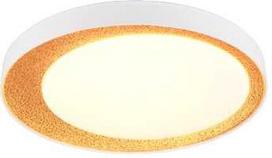Lubinis šviestuvas „Reality“. LED. 24 W. 2700–6500 K. 2500 lm. Ø45