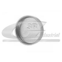 Antifrizo kaištis 3RG 84013