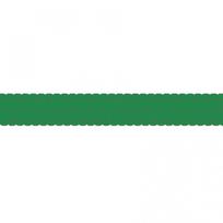 Virvė GLEISTEIN GeoOne Polyester 3mmX250m Green