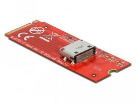 Delock M.2 Key M to 1 x OCuLink SFF-8612 Converter