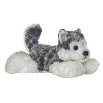 Aurora Male Female Dog Husky