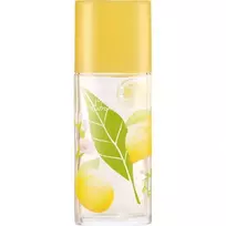 Moteriški kvepalai ELIZABETH ARDEN Green Tea Citron Freesia EDT spray 100ml