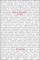 Words of Intelligence