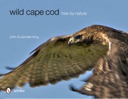 Wild Cape Cod