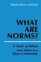 What Are Norms?