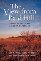 View from Bald Hill
