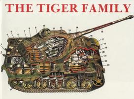 Tiger Family