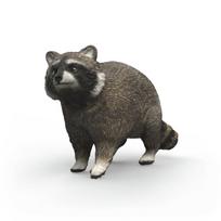 SCHLEICH WILD LIFE Meškėnas