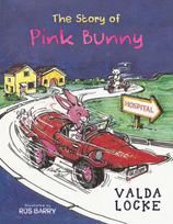 Story of Pink Bunny